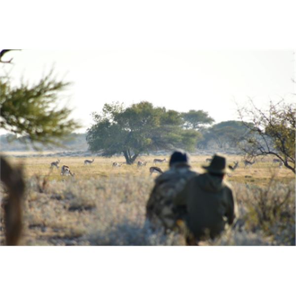 7-day Botswana Gemsbok, Eland, Blue Wildebeest and Zebra Hunt for One Hunter and One Non-hunter