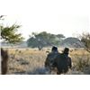 Image 1 : 7-day Botswana Gemsbok, Eland, Blue Wildebeest and Zebra Hunt for One Hunter and One Non-hunter
