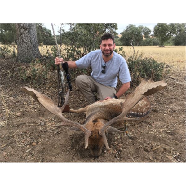 5-day Spain European Fallow Deer Hunt for One Hunter and One Observer