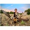 Image 2 : 5-day Spain European Fallow Deer Hunt for One Hunter and One Observer