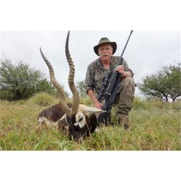 4-day Argentina Blackbuck and Dove Hunt for Four Hunters