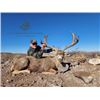 Image 1 : 4-day Mexico Management Desert Mule Deer Hunt for Two Hunters