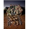 Image 4 : 7-day South Africa Plains Game Hunt for Two Hunters