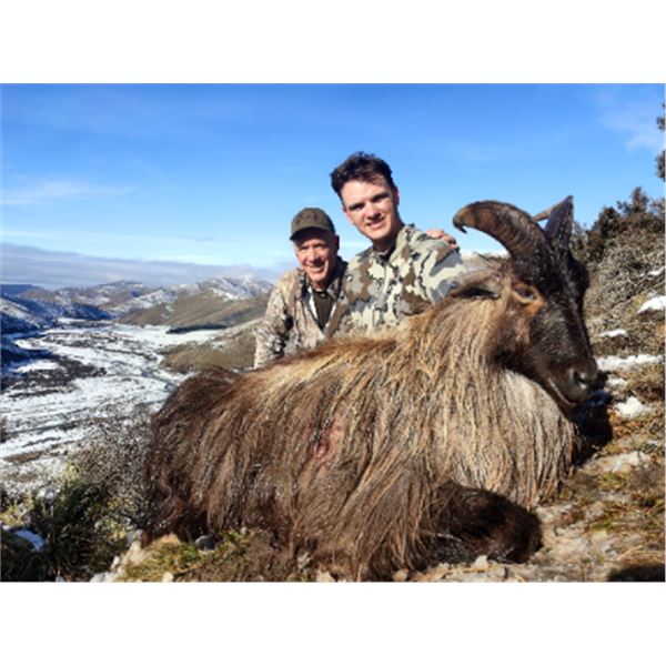 5-day New Zealand Himalayan Tahr Hunt for One Hunter and One Non-Hunter