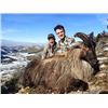 Image 1 : 5-day New Zealand Himalayan Tahr Hunt for One Hunter and One Non-Hunter
