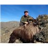 Image 2 : 5-day New Zealand Himalayan Tahr Hunt for One Hunter and One Non-Hunter