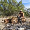 Image 2 : 2-day Texas Red Sheep Ram and Cow Elk Hunt for One Hunter and One Non-hunter