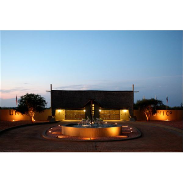 7-day South Africa Golden Wildebeest and Nyala Trophy Bull Hunt for One hunter and One Non-hunter