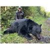Image 1 : 5-day Vancouver Island Black Bear Hunt for One Hunter and One Non-Hunter