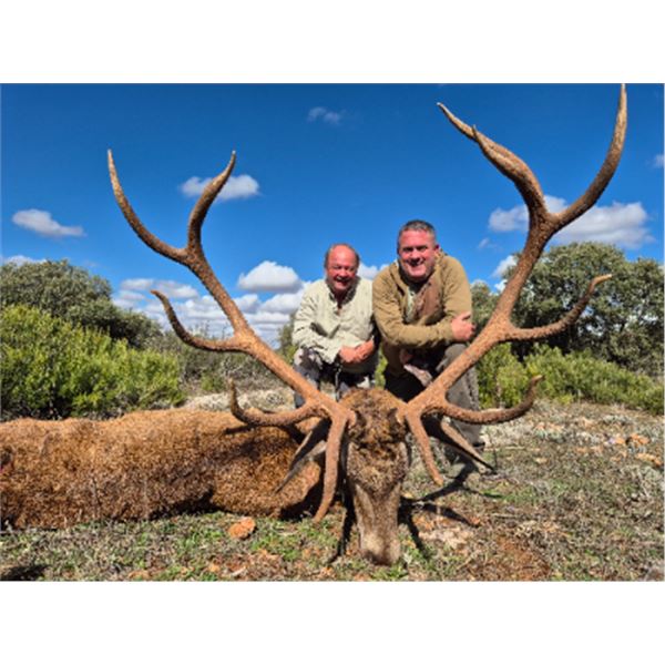 5-day Spain Red Deer Hunt for One Hunter and One Non-Hunter