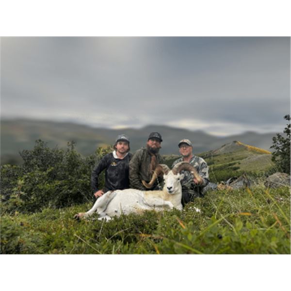 10-day Alaska Horseback Dall Sheep Hunt for One Hunter