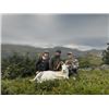 Image 1 : 10-day Alaska Horseback Dall Sheep Hunt for One Hunter