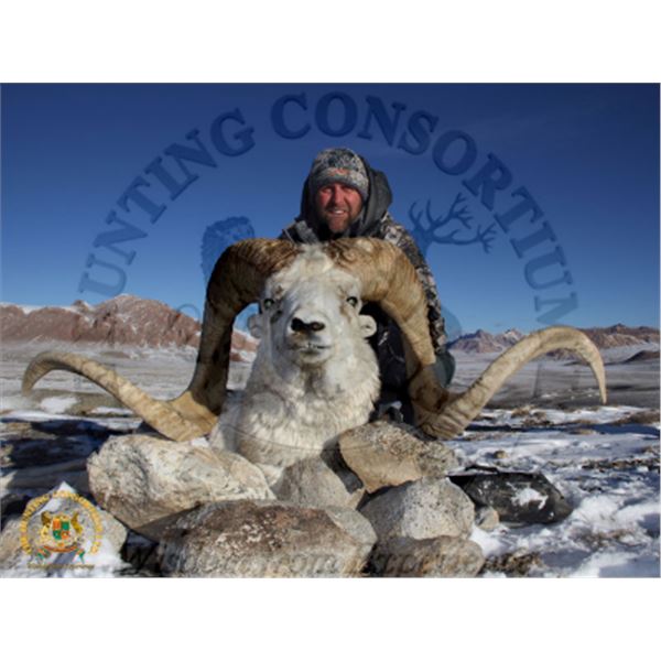 10-day Tajikistan Marco Polo Argali Hunt for One Hunter