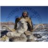 Image 1 : 10-day Tajikistan Marco Polo Argali Hunt for One Hunter