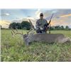 Image 1 : 3-day Florida Whitetail Deer and Alligator Hunt with a Day of Fishing for Two Hunters and Two Non-Hu