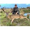 Image 2 : 3-day Florida Whitetail Deer and Alligator Hunt with a Day of Fishing for Two Hunters and Two Non-Hu