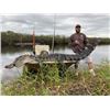 Image 3 : 3-day Florida Whitetail Deer and Alligator Hunt with a Day of Fishing for Two Hunters and Two Non-Hu