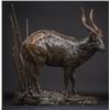 Image 4 : Texas Mountain Bongo Hunt, Life Size Bronze Bongo and Kenya Conservation & Safari Experience