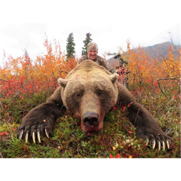 12-day Alaska Big Game Combo Hunt with Taxidermy for One Hunter and One Guest