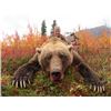 Image 1 : 12-day Alaska Big Game Combo Hunt with Taxidermy for One Hunter and One Guest
