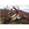 Image 3 : 12-day Alaska Big Game Combo Hunt with Taxidermy for One Hunter and One Guest