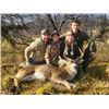 Image 5 : 12-day Alaska Big Game Combo Hunt with Taxidermy for One Hunter and One Guest