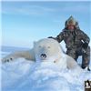 Image 2 : 10-day Nunavut Territory CITES (non-importable to US and Mexico) Polar Bear Hunt for One Hunter