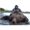 Image 1 : 12-Day Alaska Peninsula Brown Bear and Black Bear Combo Hunt for One Hunter and Special Guest