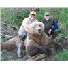 Image 3 : 12-Day Alaska Peninsula Brown Bear and Black Bear Combo Hunt for One Hunter and Special Guest
