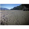 Image 5 : 12-Day Alaska Peninsula Brown Bear and Black Bear Combo Hunt for One Hunter and Special Guest
