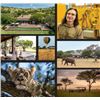 Image 1 : Singita Serengeti House Art & Safari Experience with John Banovich
