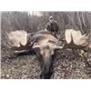 Image 1 : 10-day Yukon Alaska-Yukon Moose Hunt for One Hunter