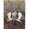 Image 2 : 10-day Yukon Alaska-Yukon Moose Hunt for One Hunter