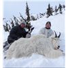 Image 1 : 9-day British Columbia Winter Mountain Goat Hunt for One Hunter