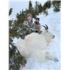 Image 2 : 9-day British Columbia Winter Mountain Goat Hunt for One Hunter