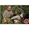 Image 1 : 6-day Greece Gold Medal Kri Kri Ibex Hunt for One Hunter and One Non-Hunter