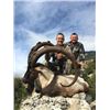 Image 1 : 7-day Turkey Anatolian (Bezoar) Ibex Hunt for Two Hunters