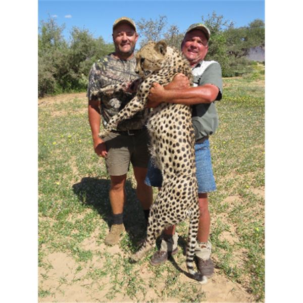 8-day Namibia Cheetah, Gemsbuck, Springbuck and Warthog Hunt for One Hunter and One Non-hunter