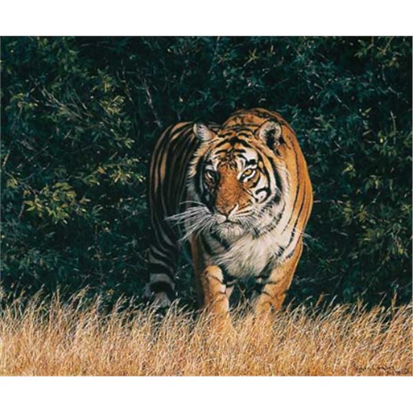 Fine Art Giclee on Canvas Titled "From The Shadows" by Simon Combes