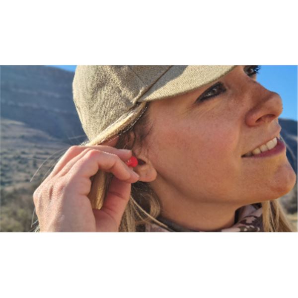 Tactical T-4-16-HD, Custom Series