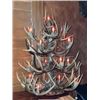 Image 1 : Handcrafted Antler Christmas Tree