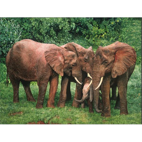 Fine Art Giclée on Canvas titled 'The Creche' by Guy Combes