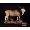 Image 1 : $4,000 Credit Toward Any Life-Size Taxidermy Mount
