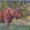 Image 1 : Moose Acrylic on Canvas