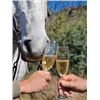 Image 3 : Horseback Plains Game Hunt in South Africa for 1 Hunter and 1 Non-Hunter
