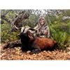 Image 2 : PYRENEAN CHAMOIS hunt, a wine-tasting session, and a Barcelona city tour for ONE HUNTER and ONE NON-