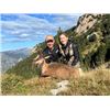 Image 4 : PYRENEAN CHAMOIS hunt, a wine-tasting session, and a Barcelona city tour for ONE HUNTER and ONE NON-