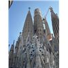 Image 6 : PYRENEAN CHAMOIS hunt, a wine-tasting session, and a Barcelona city tour for ONE HUNTER and ONE NON-