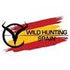 Image 7 : PYRENEAN CHAMOIS hunt, a wine-tasting session, and a Barcelona city tour for ONE HUNTER and ONE NON-