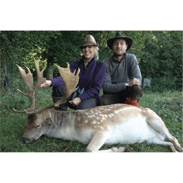 4-Day France Fallow Deer and European Mouflon Hunt 2 Huntera and 1 guide
